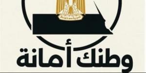 مبادرة "وطنك أمانة" في بيان لها : المصريون احتشدوا أمام السفارات وأثبتوا للعالم أنهم صف واحد