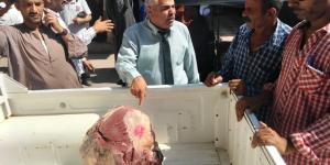 المنيا..تحرير 113 محضرًا متنوعًا وإعدام أغذية فاسدة