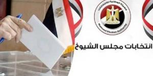 بدء التصويت بسفارات مصر بأمريكا وكندا في الإعادة بانتخابات مجلس الشيوخ
