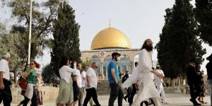 "شؤون القدس": اقتحامات الأقصى تصعيد خطير يفتح الباب أمام انفجار ديني وسياسي