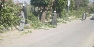 الأقصر.. إسنا تتجمل بحملات تشجير موسعة بالميادين والشوارع