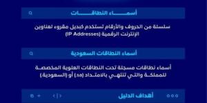 هيئة الاتصالات والفضاء تطلق الدليل الإرشادي للانتقال إلى النطاق السعودي (sa.)