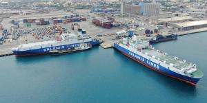 خطوط “الرورو”.. رهان مصري جديد لتعظيم الصادرات