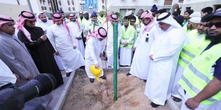 جامعة الإمام تغرس 100 ألف شجرة