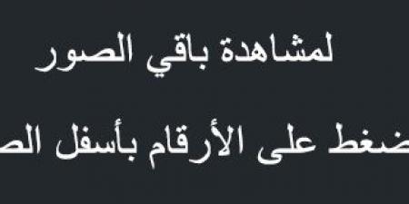 عروض بن داود مكة والمدينة الأسبوعية 19 مارس 2025 الموافق 19 رمضان 1446 رمضان مبارك