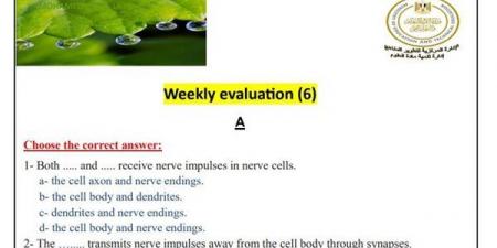 لطلاب الصف الثاني الثانوي.. أسئلة تقييمات الأسبوع السادس أحياء لغات
