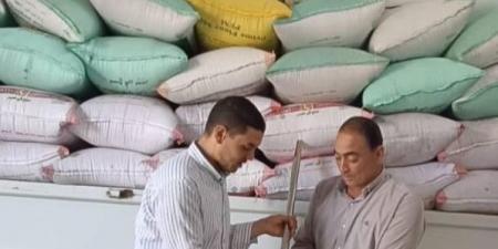 توريد ٢١٩٥٤ طن قمح بالبحيرة