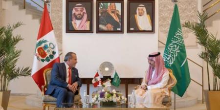 وزير الخارجية ونظيره البيروفي يناقشان عددًا من القضايا الدولية
