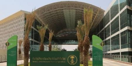 البيئة ترصد هطول أمطار في (8) مناطق وعسير الأعلى كميةً بـ(15.0) ملم في ظهران الجنوب