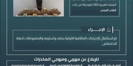 حرس الحدود بجازان يقبض على مخالف لتهريبه (80) كيلوجرامًا من القات المخدر