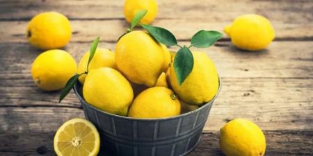 جمعية الحمضيات تطالب بإلغاء استيراد الليمون وفتح تحقيق
