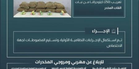 إحباط تهريب (250) كجم من القات بـالربوعة