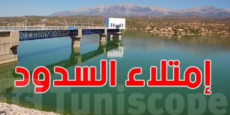 مخزون السدود في تونس يُسجّل أعلى مستوى منذ 2019