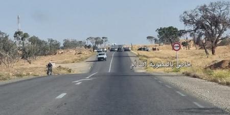 قابس: وفاة شخصين وإصابة 8 آخرين بجروح متفاوتة الخطورة في حادث مرور بالطريق الوطنية عدد 15