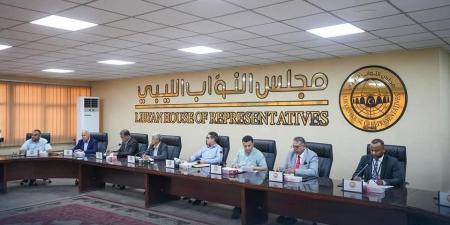 حماد يبحث مع لجنة المالية النيابية مشروع ميزانية 2025 ويؤكد: الشفافية وعدالة التوزيع أولوية