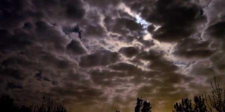 تعقيب المحرّر