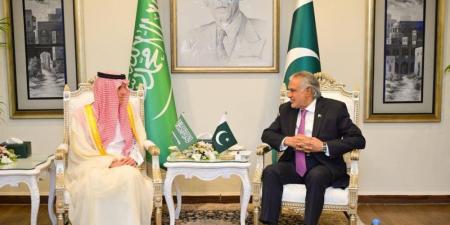 السعودية تقود جهود السلام كأول دولة ترسل مبعوثا إلى الهند وباكستان