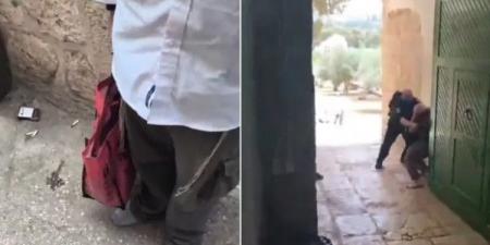 لأول مرة.. مستوطنون يُدخلون قربانا حيوانيا لباحات المسجد الأقصى