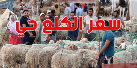 نحو تحديد سعر الكلغ الحي من أضاحي العيد