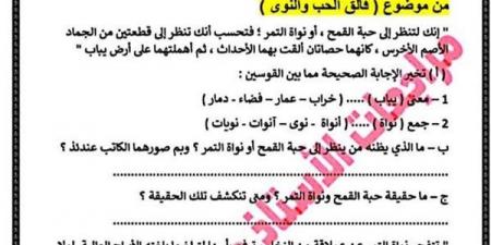 مذكرة تحميل ليلة امتحان العربي لـ الصف الثالث الإعدادي