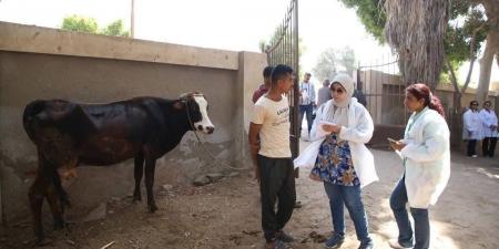 قافلة جامعة الفيوم .. البيطرية تعالج 1045 ماشية قرية الأعلام