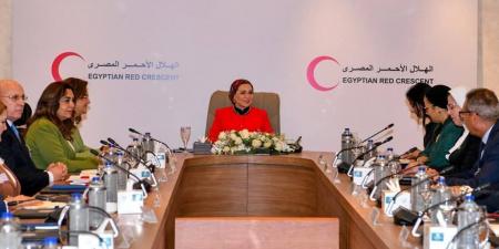 تعيين المستشارة أمل عمار ضمن  المجلس الأعلى للهلال الأحمر المصرى