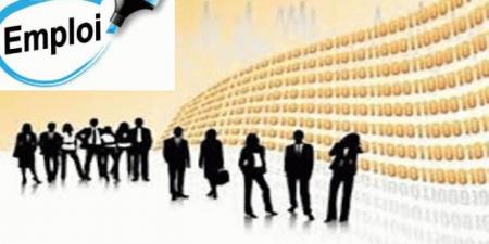 عاجل/ سيوزعون على أكثر من 21 مؤسسة عمومية: بشرى سارة لهؤولاء..