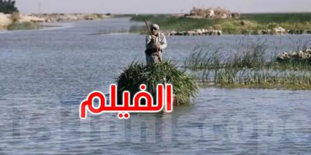 'كعكة الرئيس'.. فيلم عراقي يحاكي حكم صدام بمهرجان 'كان'