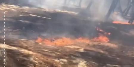 بالفيديو  ..  حريق يلتهم أحراش سحم  ..  ورئيس بلدية الشعلة يستنجد بالأهالي لإخماده