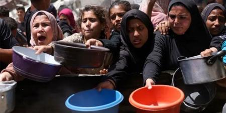 تحرك سعودي فاعل.. وضغط غربي على إسرائيل.. صرخات أطفال غزة توقظ العالم