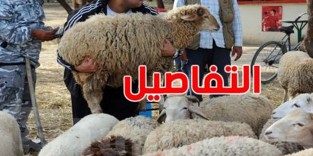 نابل تواجه نقصًا حادًا في الأضاحي: 100 ألف حاجة مقابل 28 ألف متوفرة فقط