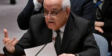 بسبب أطفال غزة.. مندوب فلسطين ينهار باكياً في كلمته أمام مجلس الأمن | فيديو