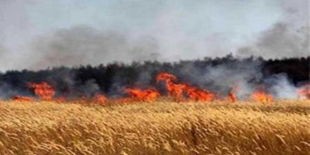 عاجل/ إندلاع حريق في مزارع القمح بمنطقة تيبار