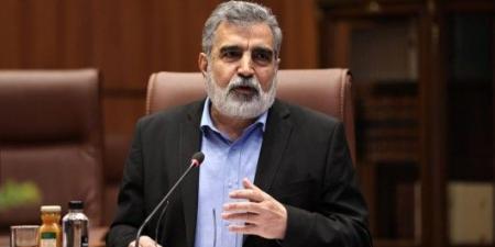 إيران: تقارير الوكالة الدولية للطاقة الذرية تستند إلى معطيات ومعلومات تجسسية