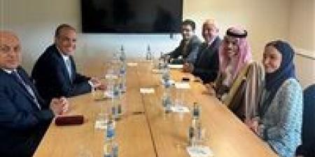 وزير الخارجية والهجرة يلتقي بنظيره السعودي على هامش فعاليات منتدى أوسلو