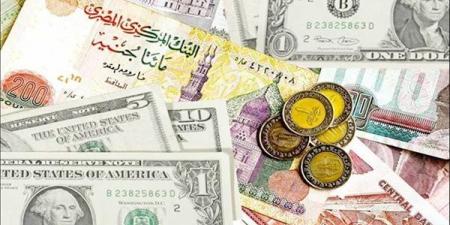 سعر الدولار مقابل العملات في البنوك المصرية اليوم