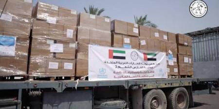 الإمارات تدعم غزة بشحنة من الأدوية والمستلزمات الطبية (فيديو)