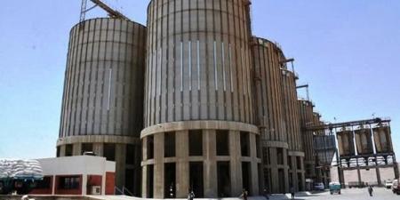 سوهاج تنهي موسم توريد القمح بـ186 ألف طن بزيادة 20% عن المستهدف