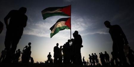 البرلمان البلجيكي يناقش الاعتراف بدولة فلسطين