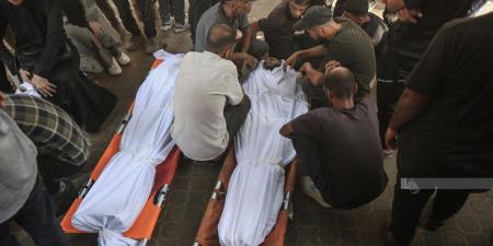 جريمة الإبادة الصهيونية في غزة تتواصل