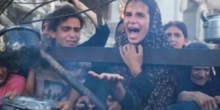 الأمم المتحدة: الجوع فى غزة يبلغ أعلى مستوياته منذ بدء النزاع