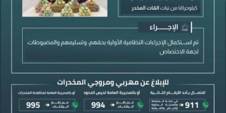 القبض على 4 مخالفين بعسير لتهريبهم 60 كلجم من نبات القات