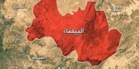 البيضاء.. شاب يقتل والده ويمثل بجثته