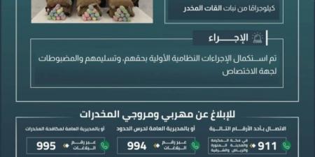 القبض على 6 مخالفين بعسير لتهريبهم 90 كلجم من نبات القات