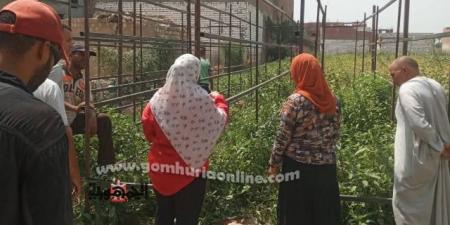 تدريب عملي للمزارعين على التصنيع الغذائي لتقليل الفاقد 