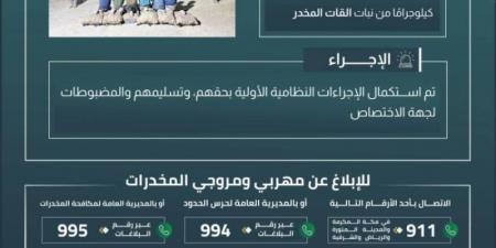 القبض على 6 مخالفين بجازان لتهريبهم 90 كلجم من نبات القات