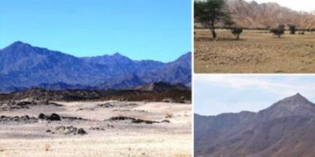 إفرست الغردقة.. عيش المغامرة مع شايب البنات وتسلق ثالث أعلى جبل فى مصر والسودان