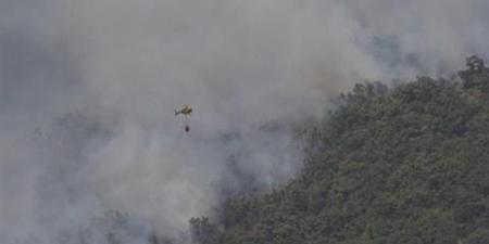 اسبانيا | الجيش يتدخل لمواجهة حرائق غابات مدمرة غرب البلاد .. اغلاق عشرات الطرق و تحذيرات للسكان