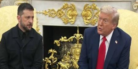 قمة بالبيت الأبيض.. ترامب متفائل بفرص إنهاء الحرب وزيلينسكي يدعو لسلام عاجل