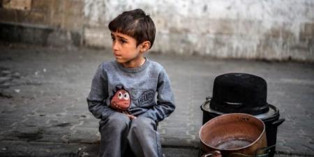 "الأغذية العالمي": نصف مليون شخص في غزة على شفا المجاعة